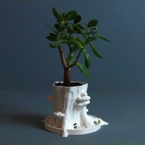 Sylvatica Tree Planter Decor for Dinner Table, Party, Living Room, Bedroom